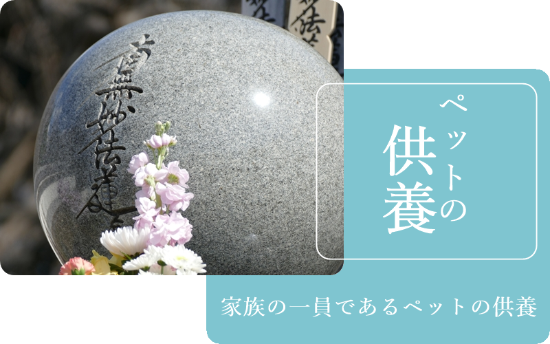 ペット供養墓納骨前に、ペットとのお別れ式を行います。ペット供養、納骨、永代供養料一式